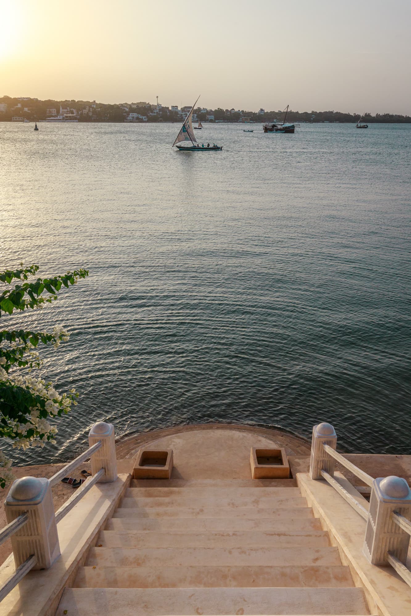 Dhow Sailing