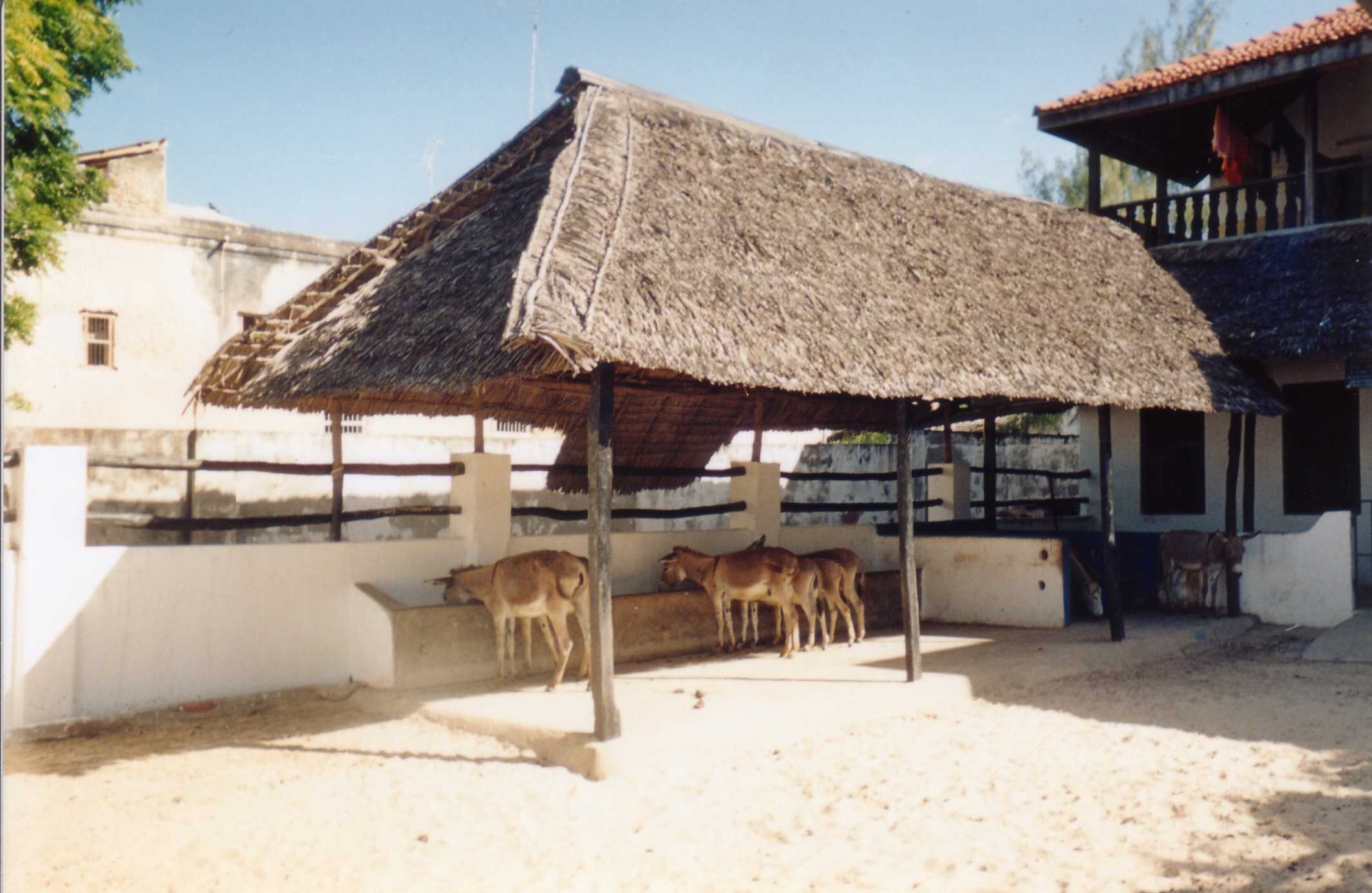 Donkey Sanctuary